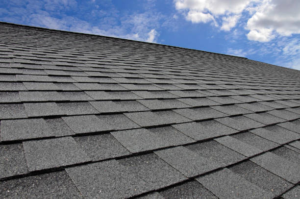 Best Roof Ventilation Installation  in Olton, TX